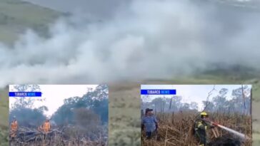 En menos de dos meses otro incendio forestal afecta la Isla Salamanca en el norte de Barraquilla