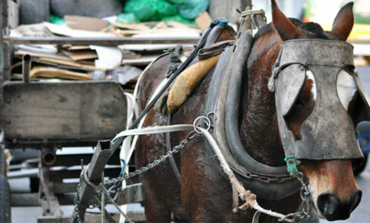 Por motocarros serán reemplazados vehículos de tracción animal en Yopal