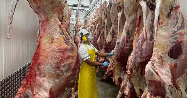 Prestación del servicio de sacrificio animal para el consumo humano será otorgada por el municipio