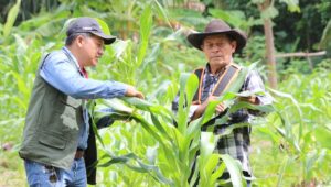 Productores de Casanare fortalecen sus sistemas agropecuarios apoyados por Ecopetrol