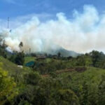 Reportan incendio de cobertura vegetal en el municipio de El Peñol