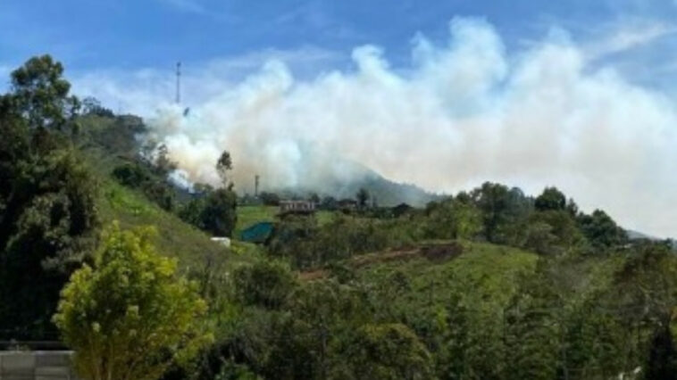 Reportan incendio de cobertura vegetal en el municipio de El Peñol