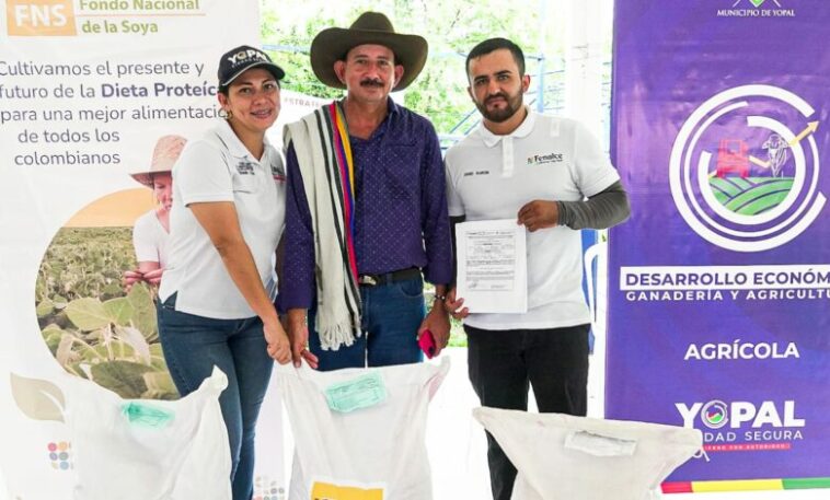 Se fomenta el cultivo de soya en Yopal