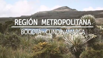 Se ha dado comienzo al procedimiento de selección del primer director de la Región Metropolitana Bogotá.