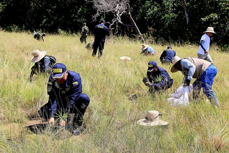 Sembrando árboles la Fundación Omacha celebró sus 30 años de existencia