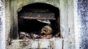 Brujería cementerio