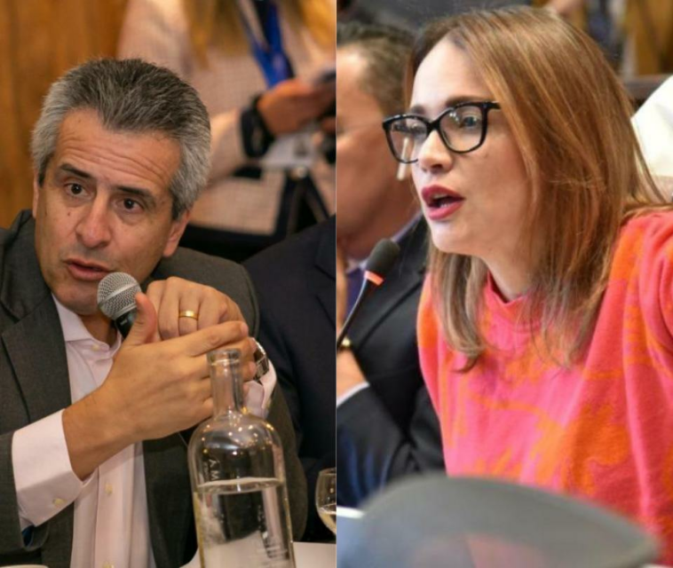 'El Gobierno quiere diálogo solo con partidos afines': Carolina Arbeláez