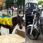 14 caballos se jubilaron y son reemplazados por motocarros en Calarcá