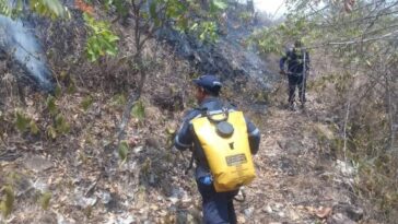 4 municipios del Huila agobiados por los incendios forestales.