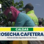 Aumentaron el pie de fuerza para brindar seguridad durante la cosecha cafetera en Caldas