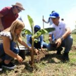 En el sur del Atlántico empieza la siembra tecnificada de plátano