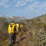 Comunas 6, 7 y 9 las más afectadas por incendios forestales