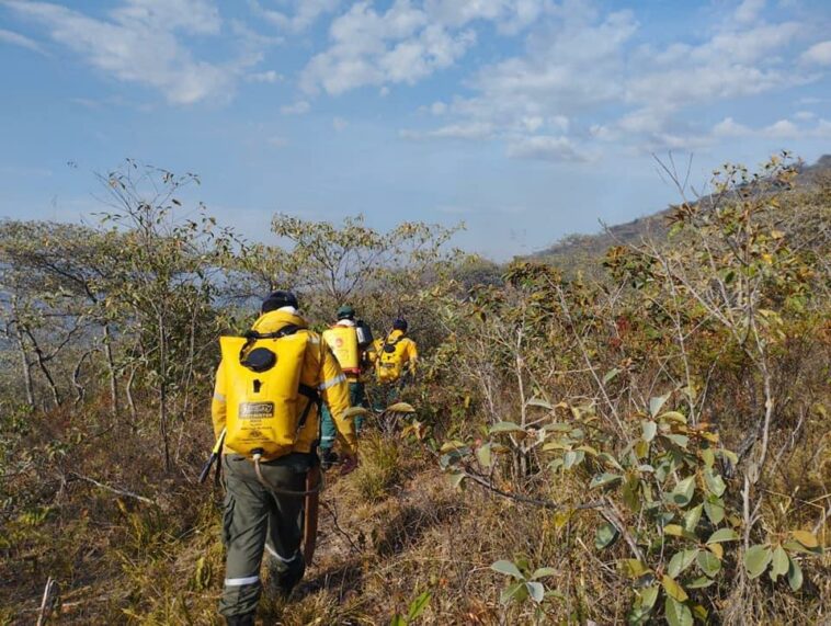 Comunas 6, 7 y 9 las más afectadas por incendios forestales