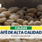 Concurso Caldas, Cafés de Alta Calidad llega a su 20° aniversario