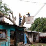 Continúan recogiendo árboles caídos en vías de Montería tras fuertes lluvias