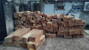 Corpamag, Policía y Ejército, decomisan 150 bloques de madera ilegal en El Piñón 