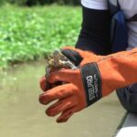 Corpamag liberó animales silvestres atendidos y protegidos en su Centro de Atención y Valoración