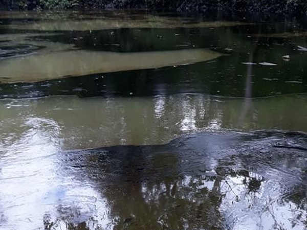 Crisis ambiental en la costa de Nariño por derrame de crudo que contaminó cinco ríos