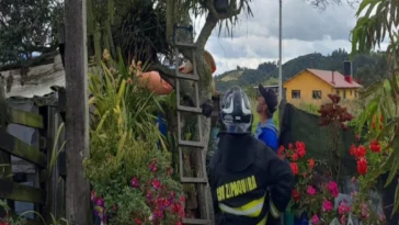 Cundinamarca, Zipaquirá, rescataron