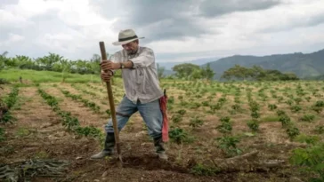 Cundinamarca: Reinventando el futuro del agro a través de la innovación y la equidad