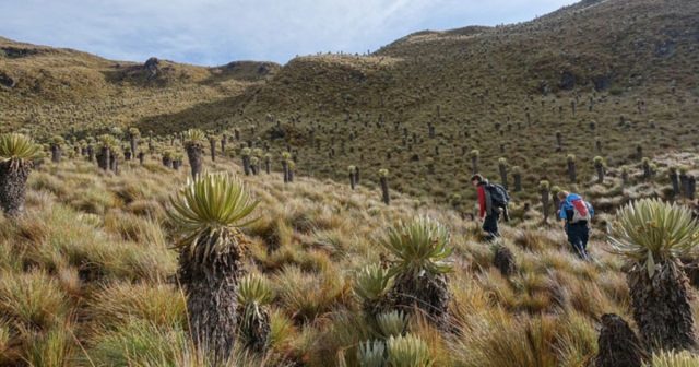 Después de más de dos décadas, se recupera el corredor vial páramo del Chili entre Pijao y Roncesvalles