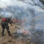 Ejército contribuye en la contención de incendio forestal en zona rural de Palermo en el Huila.