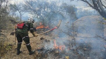 Ejército contribuye en la contención de incendio forestal en zona rural de Palermo en el Huila.