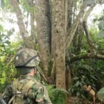 Ejercito halló material de guerra en San Vicente del Caguán