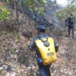 Emergencia por varios incendios forestales en Yaguará, Huila