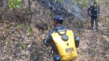 Emergencia por varios incendios forestales en Yaguará, Huila