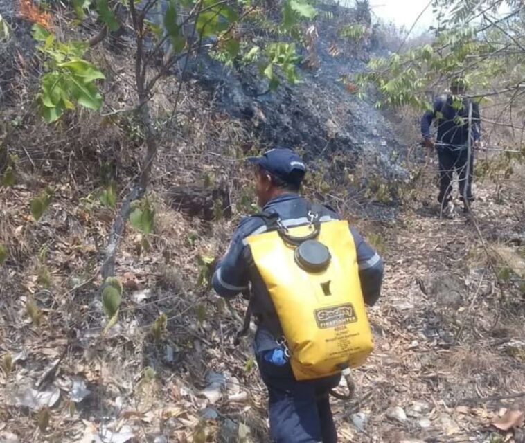 Emergencia por varios incendios forestales en Yaguará, Huila