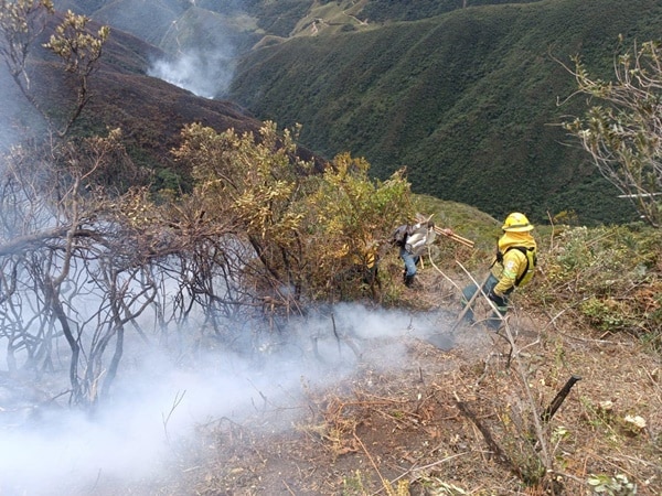 En Nariño ya se van han quemado 2.800 hectáreas de cultivos, pastos, bosques y páramos