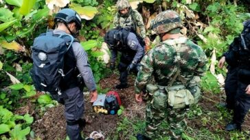 En bolsas y en medio de la maleza hallaron 250 minas para afectar a los campesinos de Tumaco