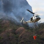 Extinguido incendio forestal en Palermo, Huila.