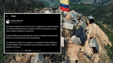 ¿Para que les dejan libre el Cañón del Micay?, atentados serían en represalias por la intervención militar