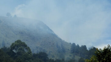 Incendio afecta hectáreas en el cerro Pan de Azúcar