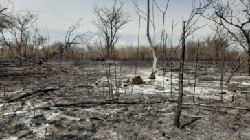 Incendio consumió 416 hectáreas en el resguardo indígena La Gabriela