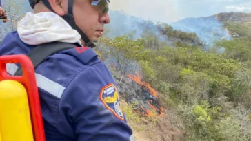 Incendio en Moscovia consumió 386 hectáreas