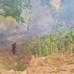 Incendios no dan tregua en Palermo, Huila