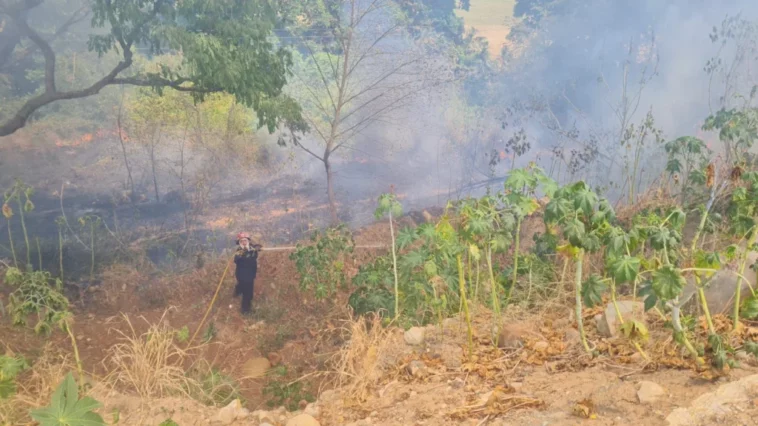 Incendios no dan tregua en Palermo, Huila