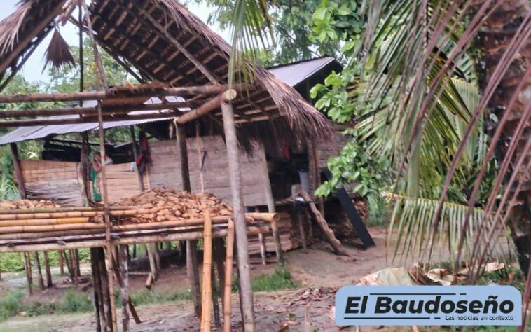La furia de la naturaleza causó graves afectaciones en varias comunidades del Municipio del Alto Baudó – Chocó.
