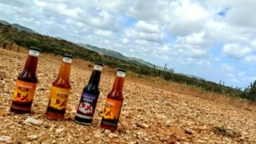 Los cuatro tipos de cervezas tipo leger, que produce el emprendedor wayuu.