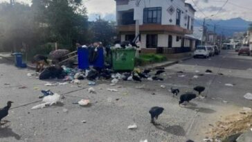 Multas para personas que hagan mala disposición de los residuos sólidos en Armenia