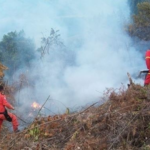 Pese a oleada de incendios, seis municipios del Huila, no tienen servicio de Bomberos.