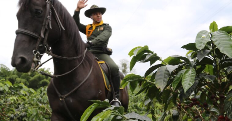 Policía Nacional de Caldas realiza acompañamiento continuo a fincas cafeteras