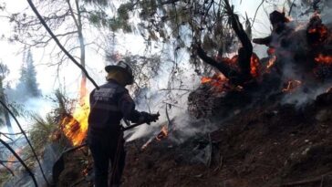 Preocupación en Cundinamarca ante el elevado número de incendios forestales en la región