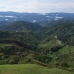 San Isidro, una asociación que produce café conservando bosques