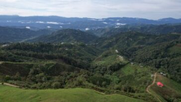 San Isidro, una asociación que produce café conservando bosques