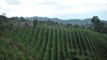 Se proclamará a la región de Sabana Centro en Cundinamarca como área dedicada a la producción de alimentos