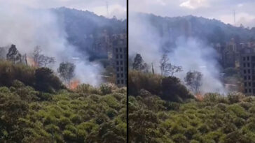 Cerquita de una unidad residencial, reportan incendio forestal en Buenos Aires